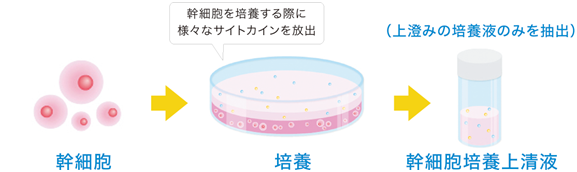アルパーク歯科・矯正・栄養クリニック_幹細胞培養上清とは