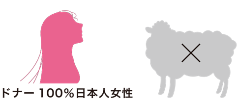 アルパーク歯科・矯正・栄養クリニック_幹細胞提供者は日本人女性