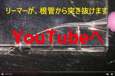 根管治療 リーマーの突き抜け,リーマーが根管モデルを突き抜けた画像,YouTubeへのリンク,広島市西区草津新町,アルパーク歯科・矯正・栄養クリニック